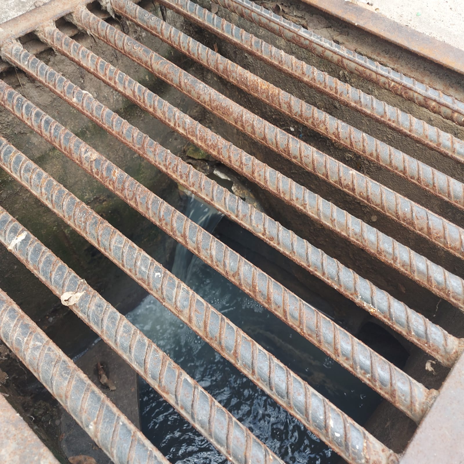 Stormwater drain where the discharge associated with the documented case is visible